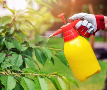 İlaçlama ve Vektörel Mücadele